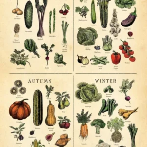 Uk Seasonal Fruit And Veg Chart