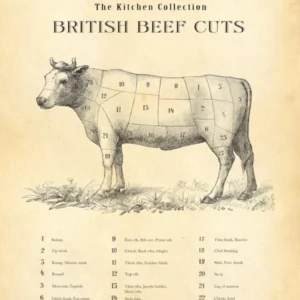 British Beef Cuts Butcher Chart