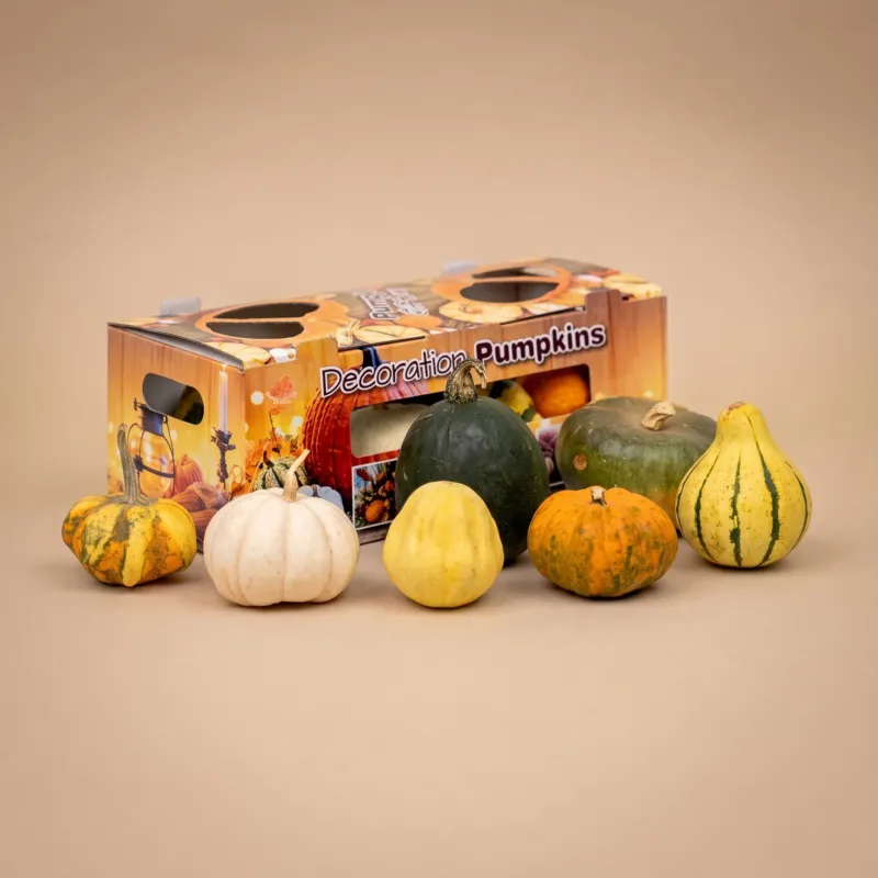 Real Pumpkin Giftbox - 7 Unique Ornamental Fruit - Ø 8 cm