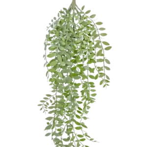 Die künstliche Hängepflanze Pumila/Eukalyptus 76 cm hat grüne, schmale Blätter und schlanke Stängel, die vor einem schlichten weißen Hintergrund herabfallen.