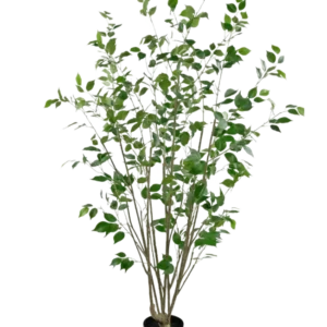 Die Kunstpflanze Ficus 180 cm ist ein hoher Kunstbaum im Topf mit mehreren schlanken braunen Stämmen und dichten grünen Blättern vor einem schlichten weißen Hintergrund.