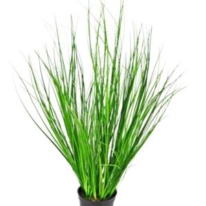 Die feuerhemmende Kunstrasenpflanze Zwiebel 58 cm ist ein hohes dekoratives Gras mit schlanken grünen Halmen in einem schwarzen Kunststofftopf, dargestellt vor einem schlichten weißen Hintergrund.