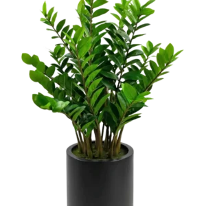 Die fertige Kunstpflanze Zamioculcas im schwarzen Topf von 120 cm hat glänzend grüne Blätter und steht in einem schlichten, runden schwarzen Topf vor weißem Hintergrund.
