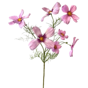 Die künstliche Kosmosblume 74 cm rosa hat einen einzelnen Stiel mit mehreren hellrosa Kosmosblüten und zarten grünen Blättern, die wunderschön vor einem weißen Hintergrund zur Geltung kommen.