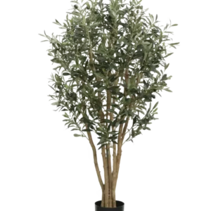Der künstliche Olivenbaum UV 120 cm hat schlanke hellbraune Stämme und dichte grüne Blätter, ist UV-beständig für dauerhafte Schönheit im Freien und wird in einem einfachen schwarzen Topf geliefert – ideal als künstliche Pflanze im Freien vor jedem Hintergrund.