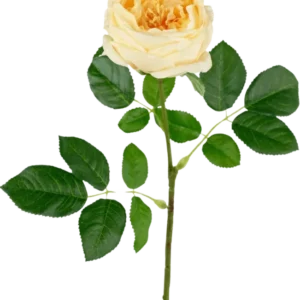 Die künstliche Gartenrose „Anniken“ Real Touch Gelb 72 cm hat eine einzelne gelbe Rose mit mehreren grünen Blättern an einem langen Stiel vor einem schlichten weißen Hintergrund.