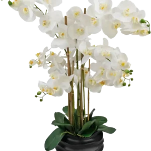 Die künstliche Orchidee Real Touch 85 cm weiß hat große weiße Orchideenblüten mit gelbem Herzen und glänzend grünen Blättern, wunderschön arrangiert in einem schwarzen Keramiktopf.