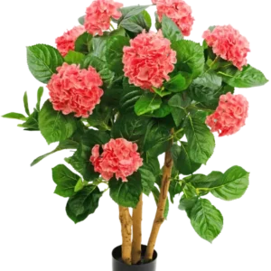 Die künstliche Hortensie UV 85 cm rosa hat mehrere Stiele, breite grüne Blätter und rosa Hortensienblüten in einem schwarzen Topf, was für einen lebendigen Kontrast und ein naturgetreues Aussehen sorgt.