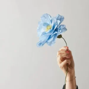 Vasenglück Papierblumen Papierblume | Große Pfingstrose | Hellblau
