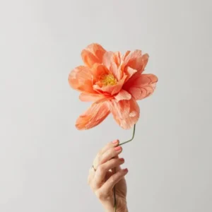 Vasenglück Papierblumen Papierblume | Große Pfingstrose | Pfirsich