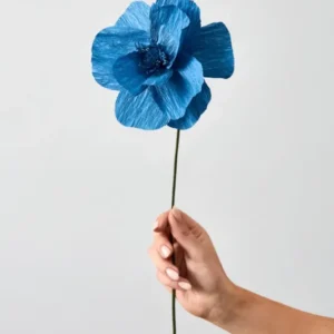 Vasenglück Papierblumen Papierblume | Himalaya Mohn | Blau