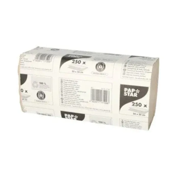 Papstar Papierhandtücher V-Falz 23 cm x 25 cm natur Zick Zack, 1-lagig (20 x 250 Blatt = 5000 Blatt)