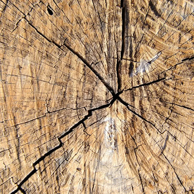 Madera preciosa parfum boisé de Grasse pour bougies fondants et diffuseurs
