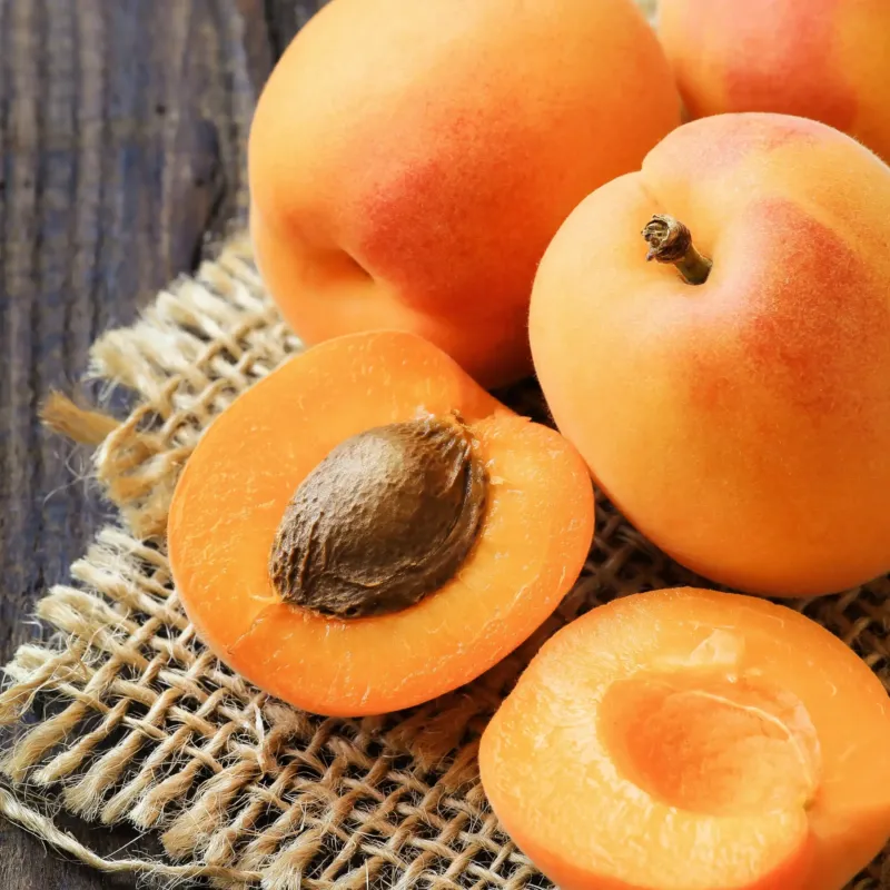 Abricot Ornat parfum fruité de Grasse pour bougies fondants et diffuseurs