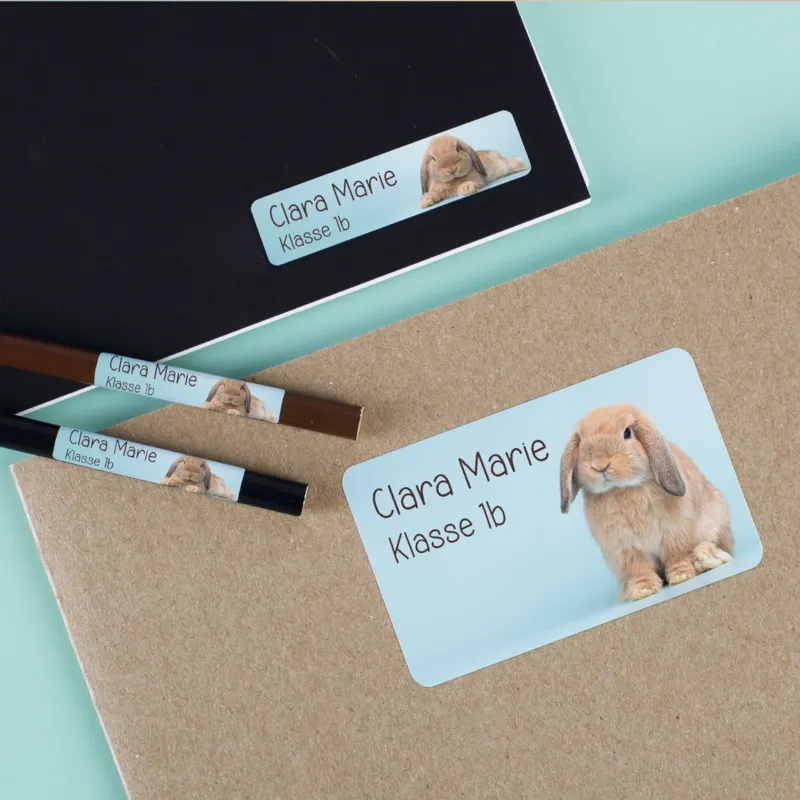 Personalisierte Namensaufkleber mit Hase Motiv, Wunschtext Clara Marie und Klasse 1b auf Heft, Stiften und Mappe