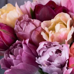 Pflückglück "Bohemian Blush" – 90 Zwiebeln