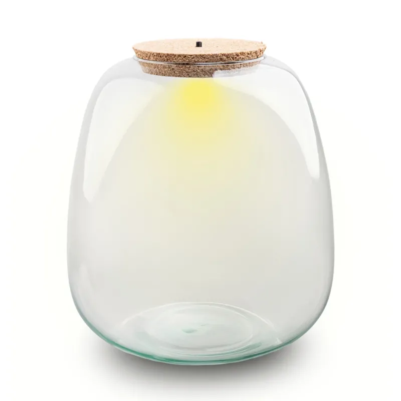 Terrarium bottle ‘Emma' - Incl. LED cork - Closed terrarium Ø 23 cm ↑ 25 cm