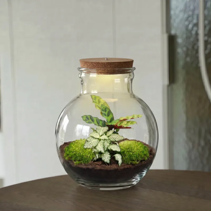 Teddy - Terrarium with light - Bottle garden DIY kit - Ø 25 cm ↑ 26,5 cm